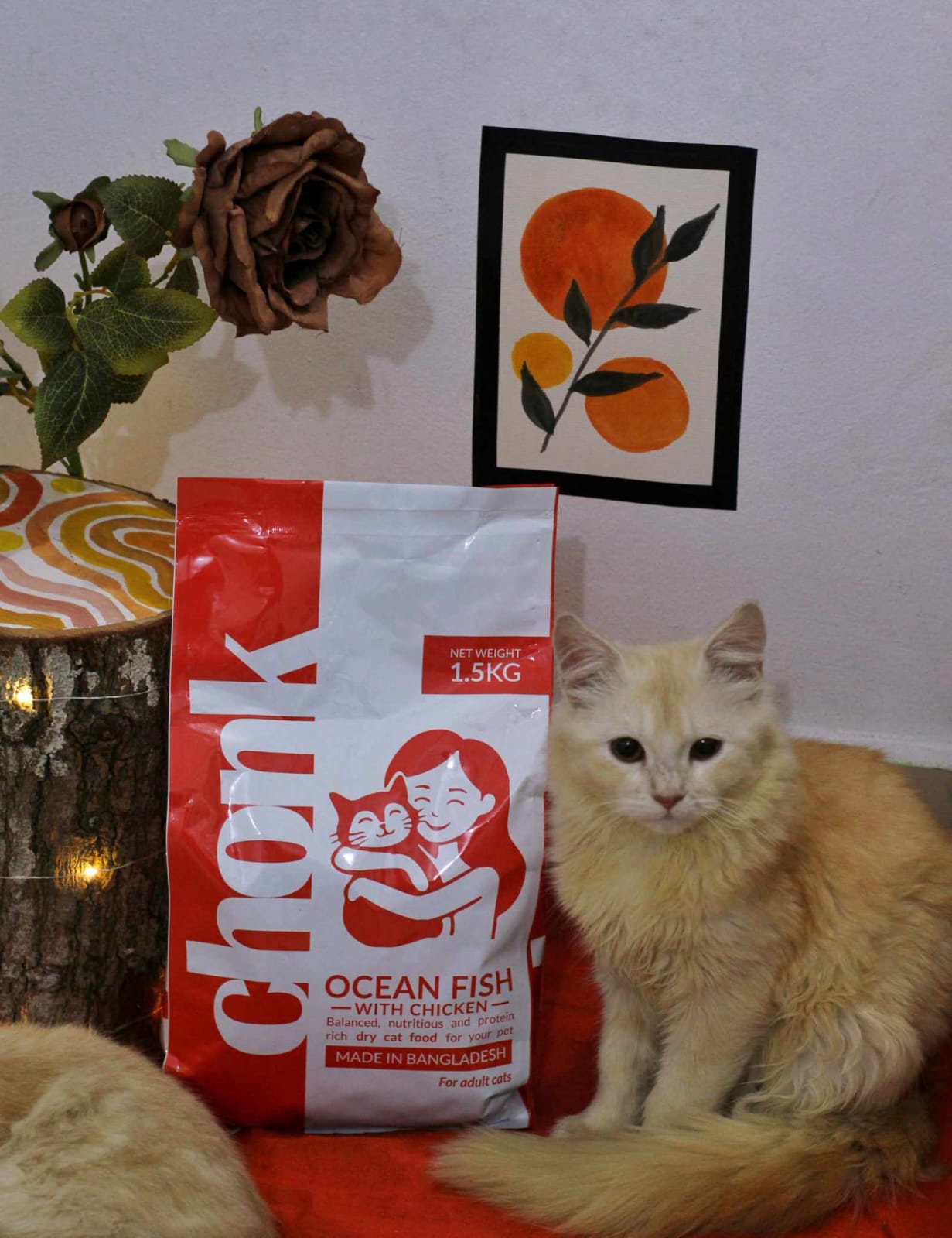 Chonk All Ages Cat Food (Ocean Fish with Chicken) 1.5 KG - Image 8