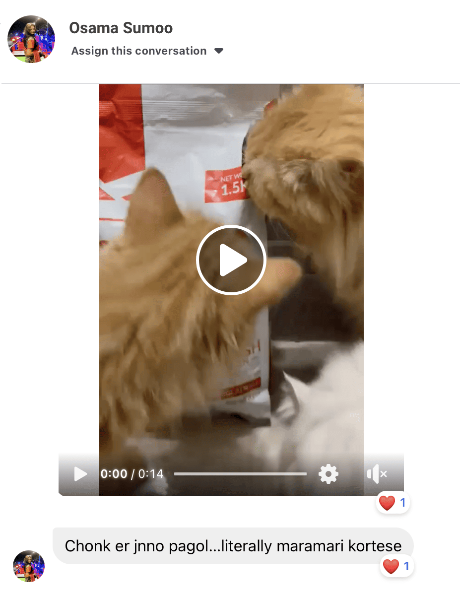 Customer review screenshot 2