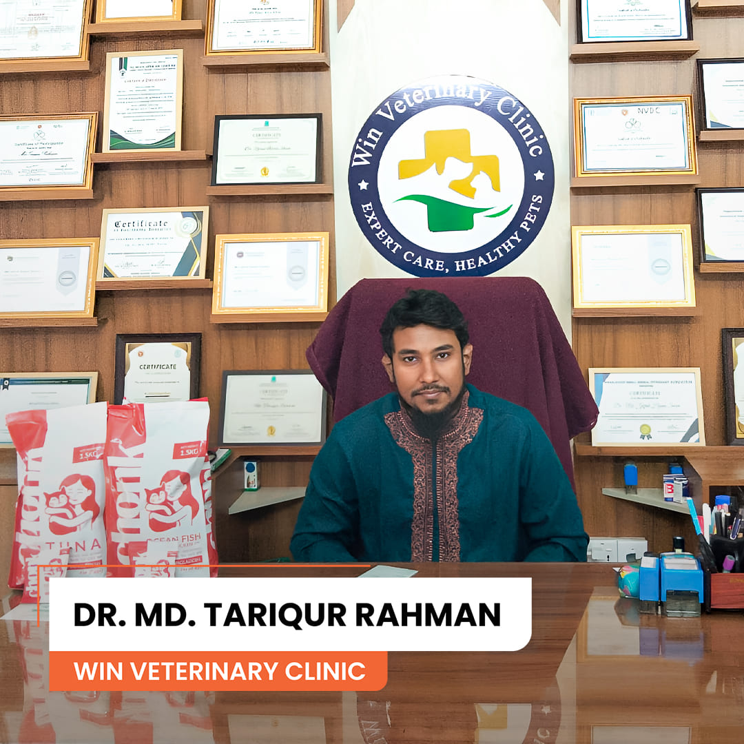 Trusted vet clinic 6