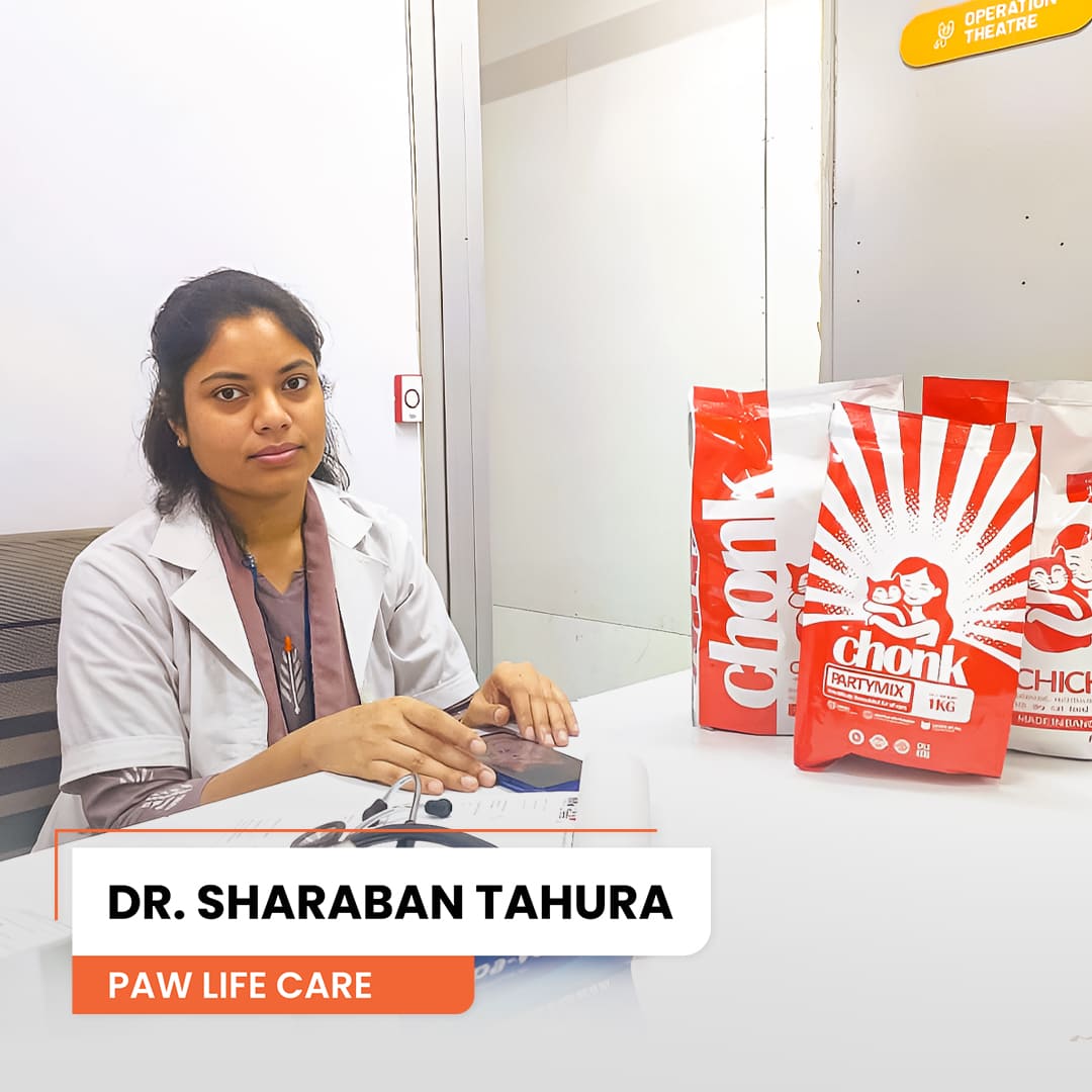 Trusted vet clinic 8