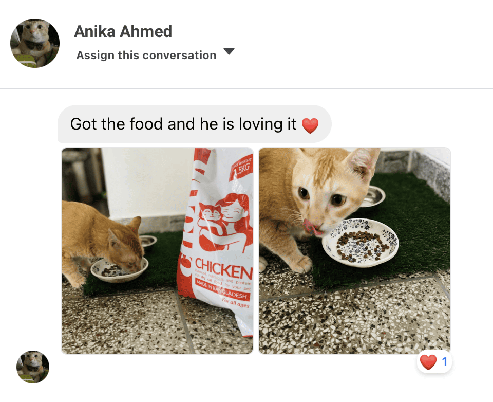 Customer review screenshot 3