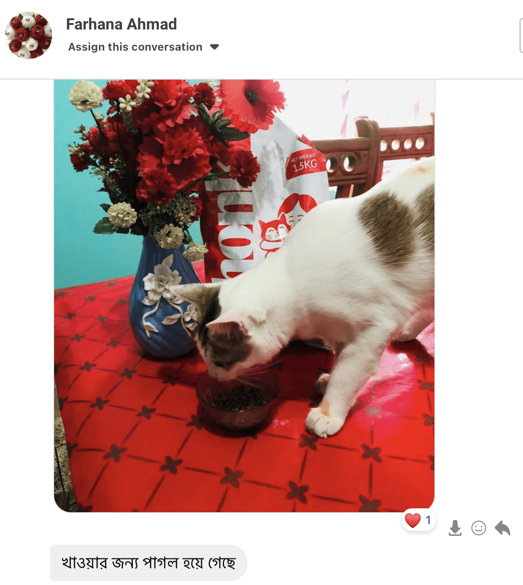 Customer review screenshot 4